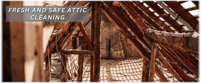 Attic Cleaning Coral Springs FL